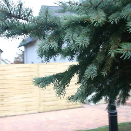 Elmak Domki Caloroczne Hotel