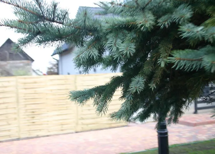 Elmak Domki Caloroczne Hotel